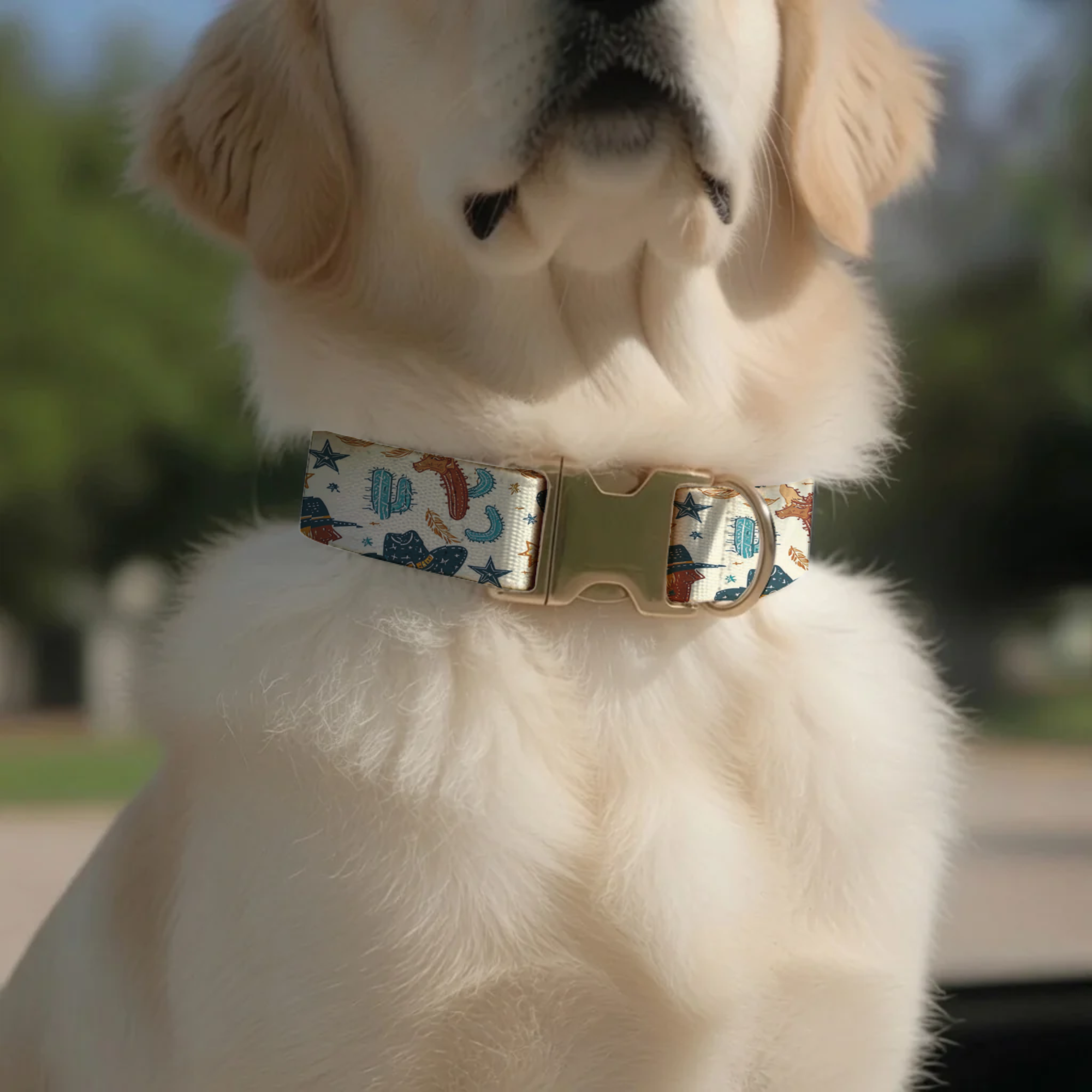 Wild West Cowboy Hat & Cactus Personalized Dog Collar Leash Set Custom Pet ID