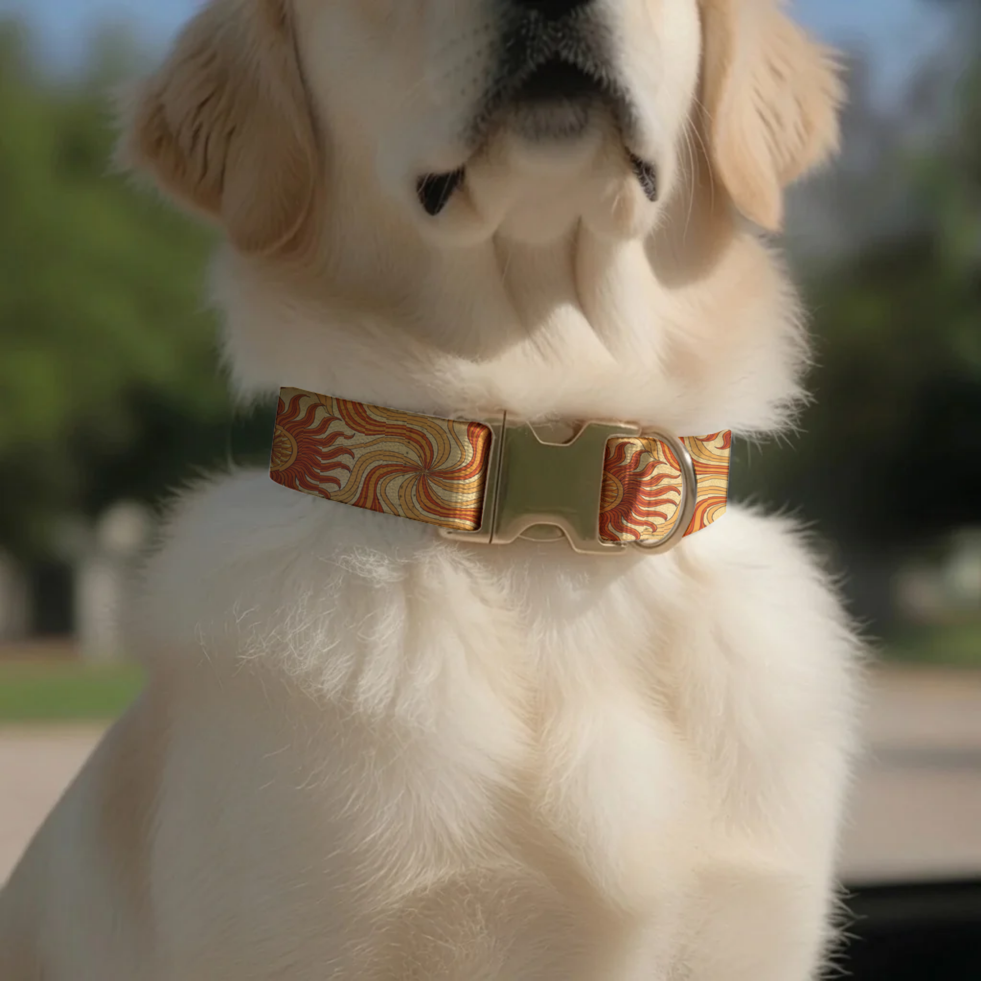 Sunny Vibes Personalized Dog Collar & Leash Set