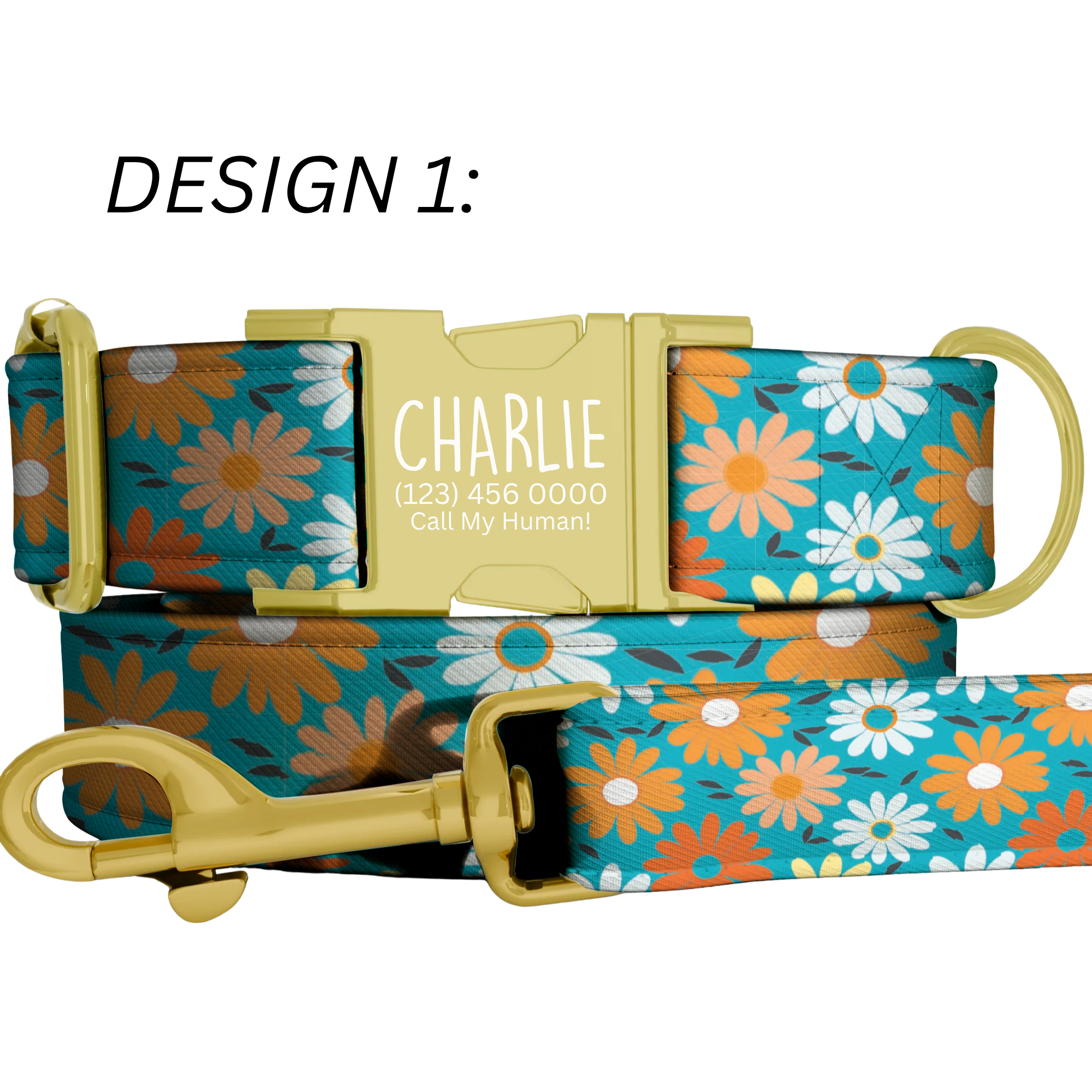 Custom Daisy Dog Collar Personalized Bright Floral Summer Puppy Collar Leash Set