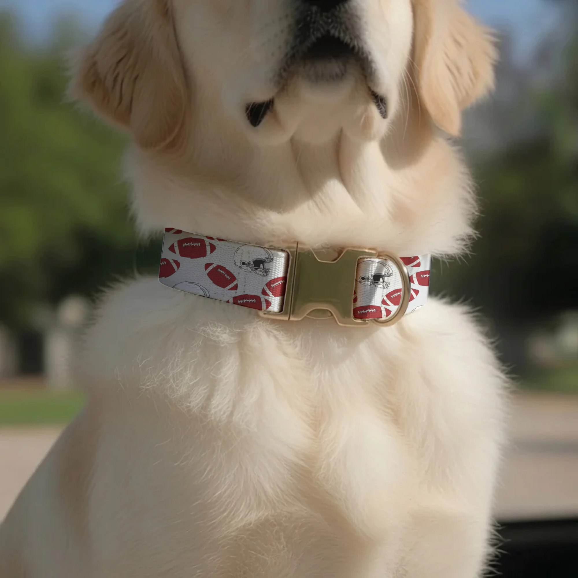 Game Day Ready Dog Collar Personalized Football-Inspired Custom Name Pet Tag Sports Accessory