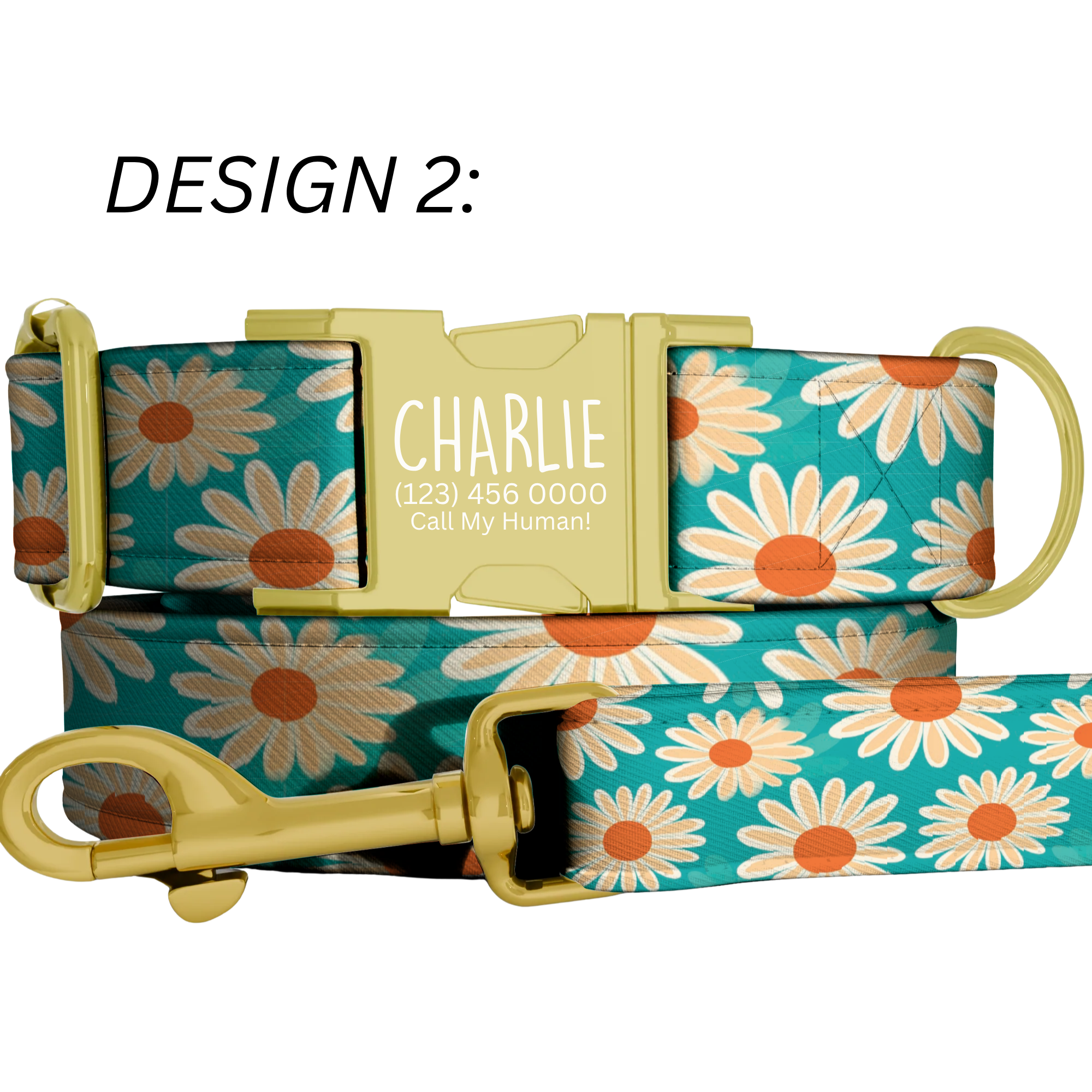 Custom Daisy Dog Collar Personalized Bright Floral Summer Puppy Collar Leash Set