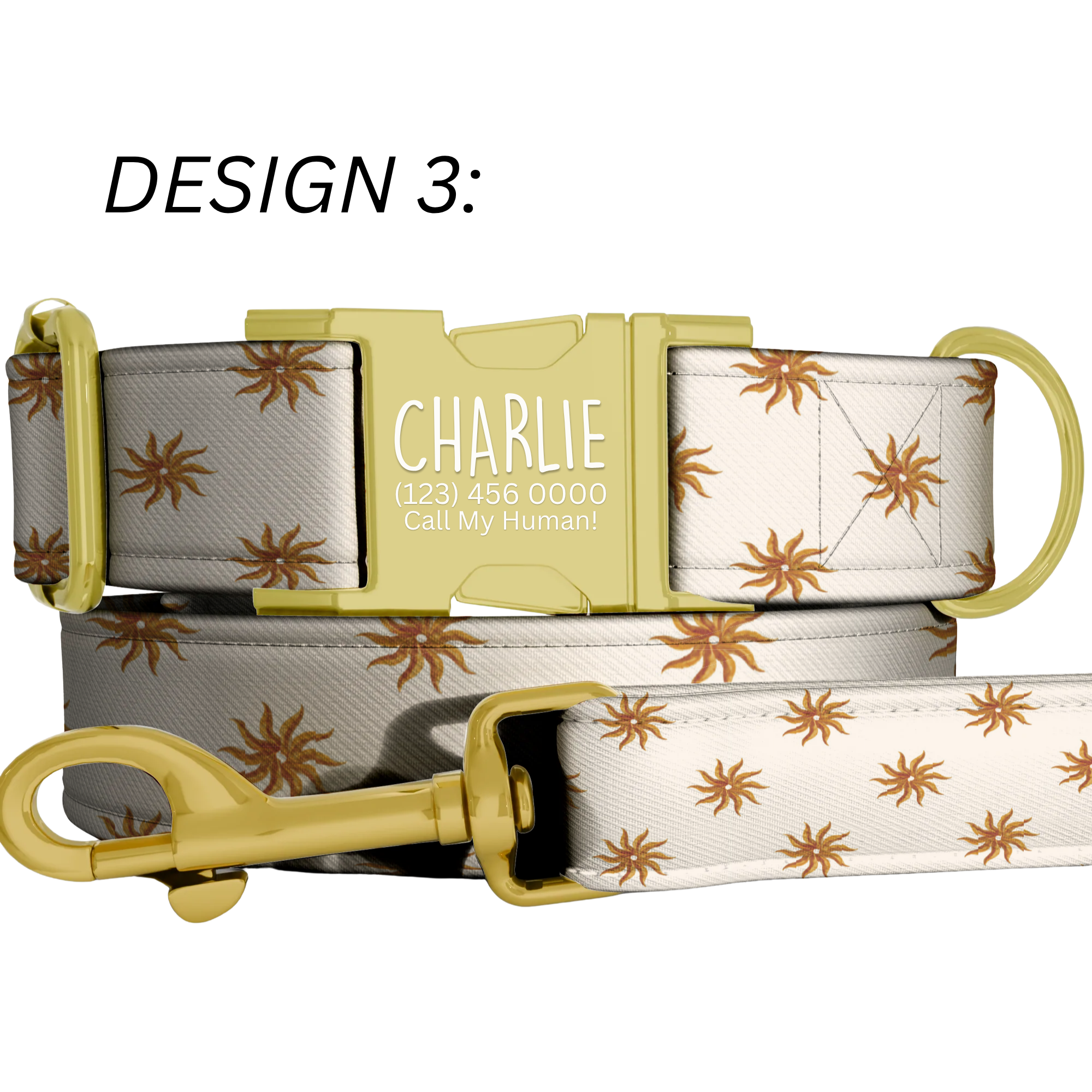 Western Cowboy Custom Personalized Dog Collar & Matching Leash Set