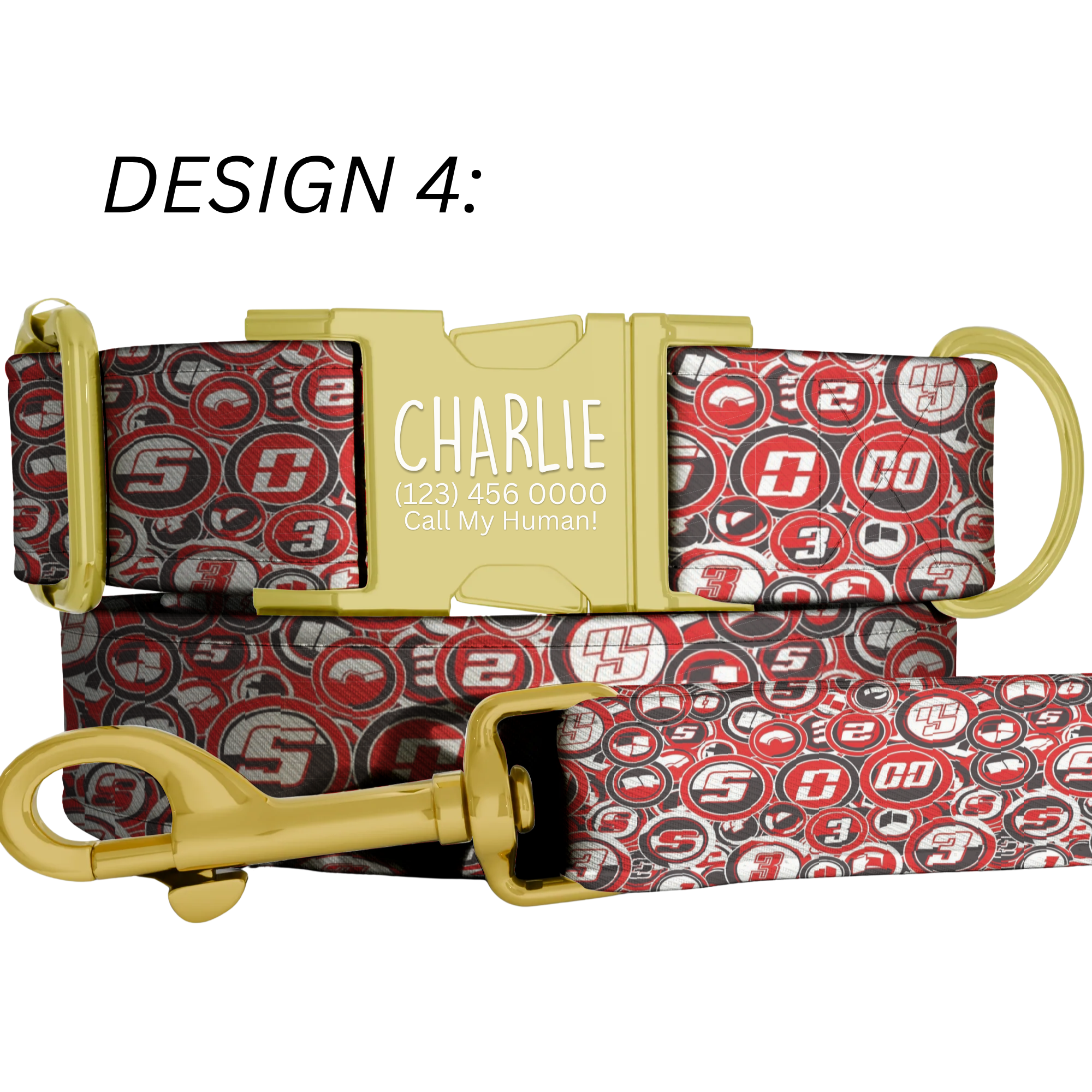 Race Car Formula Style Personalized Dog Collar & Leash Set