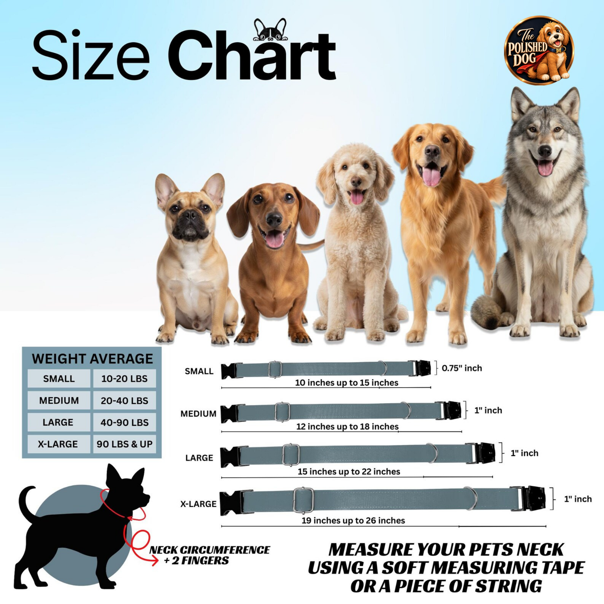 The Polished Dog Speedway Series - Checkered Flag & Trophy Edition Custom Racing Dog Collar