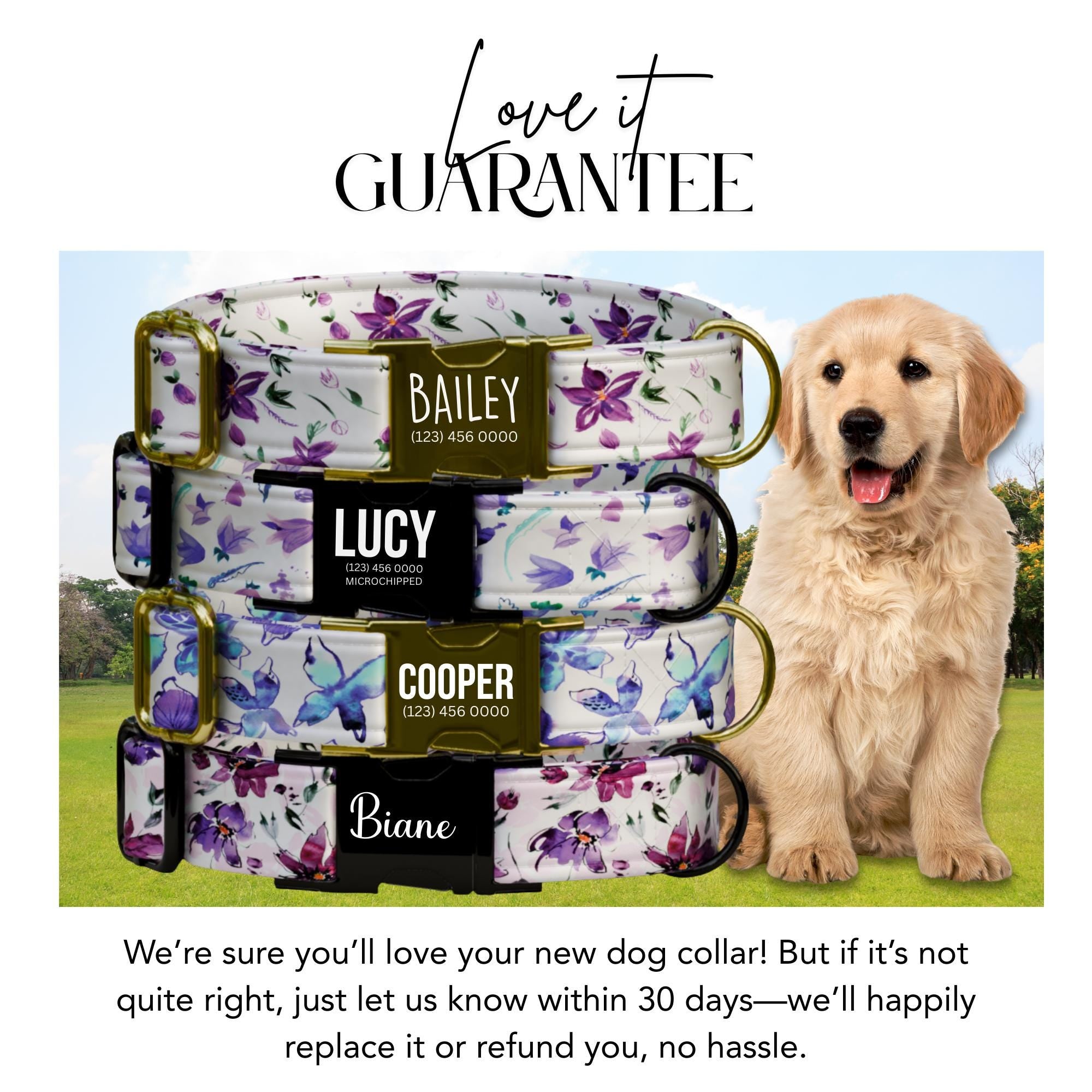 Purple Bloom Dreams Personalized Dog Collar Floral Watercolor Design, Custom Name & Number, Metal Buckle (OG-420)