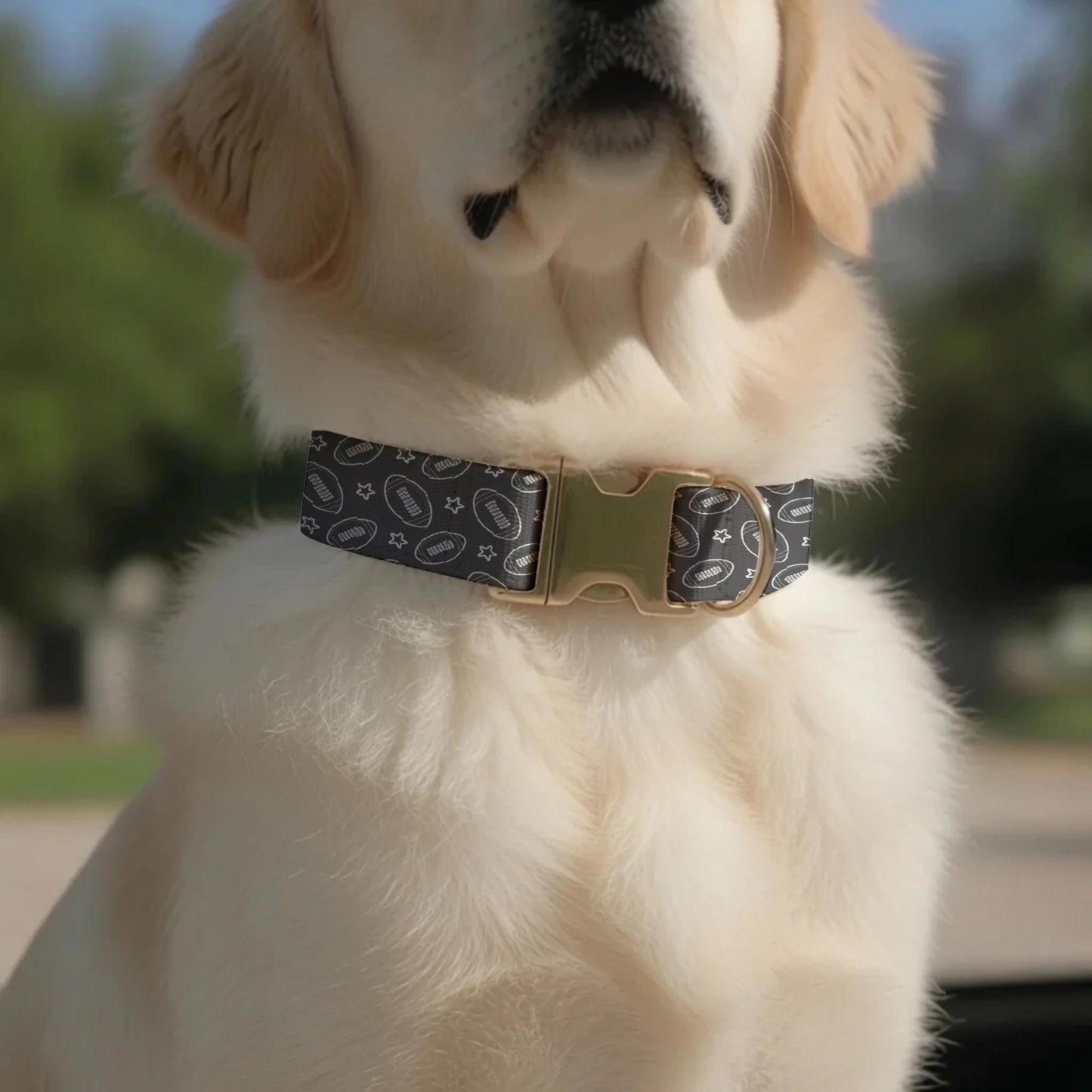 Game Day MVP Personalized Dog Collar – Touchdown-Ready All-Star Pup! Football Dog Tag (OG-445)