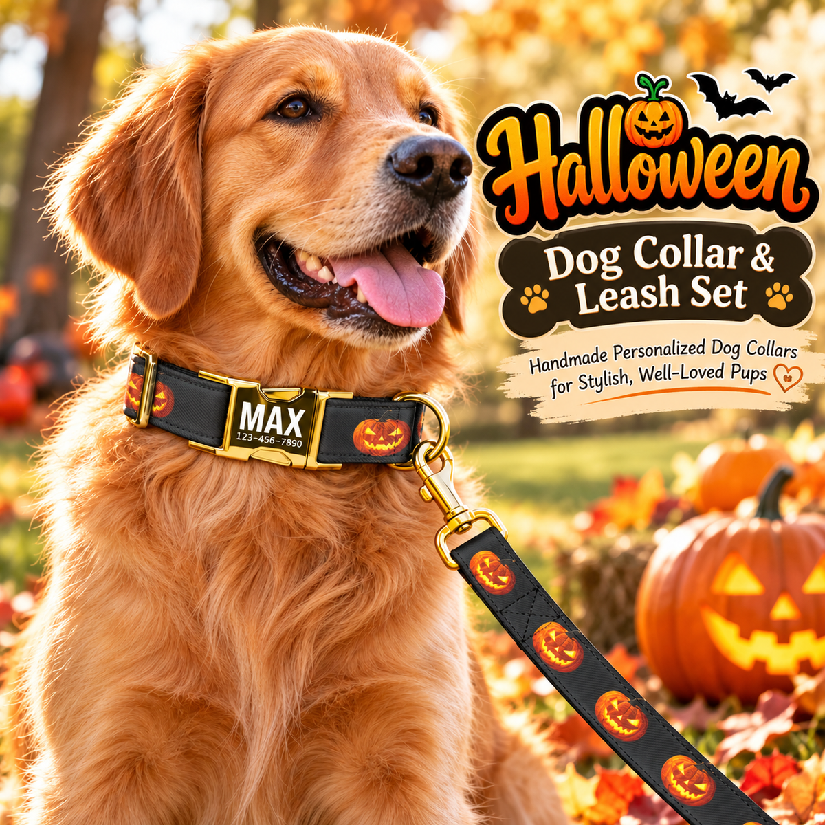 Halloween Collars