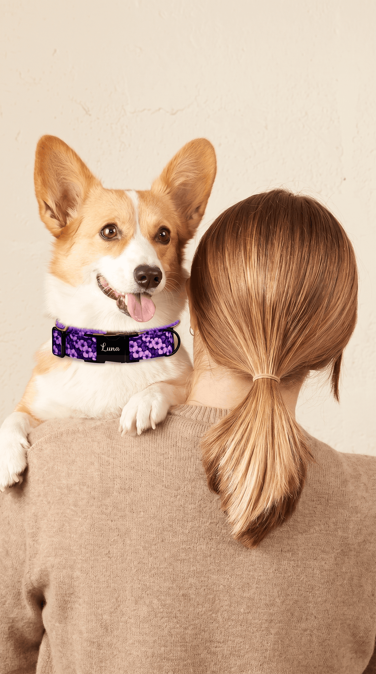 Personalized Collars For Dogs