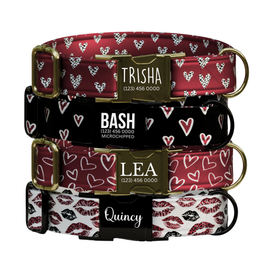 Valentines Day Personalized Dog Collar & Leash Set