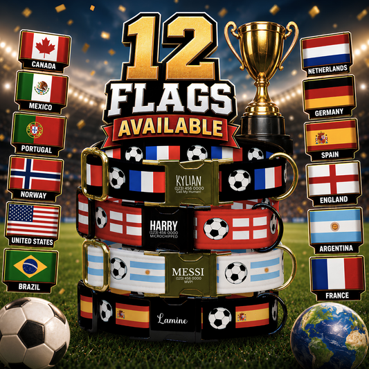 Custom Soccer Dog Collar with Name and Phone Number, World Football Flag Pet Collar, Personalized Dog Collar, Team Country Gift (OG-648)