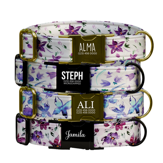Purple Bloom Dreams Personalized Dog Collar & Leash Set