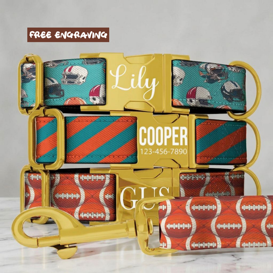 All-Star Game Day Dog Collar Personalized Football Vibes Aqua & Orange Pup Sunday Funday Football Dog Collar