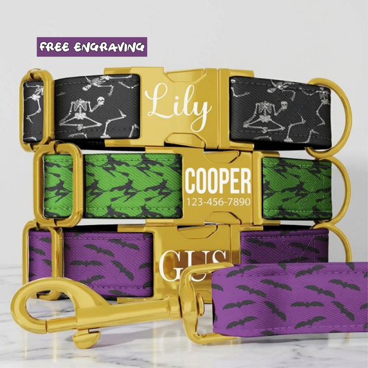 Purple Bat Dog Collar Halloween Dog Collar Personalized Pet Collar Custom Name Collar Spooky Bat Pattern Green Purple Collar