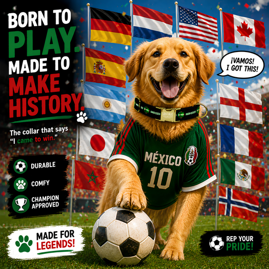 Custom Soccer Dog Collar Personalized Pet Collar with Name and Phone Number World Soccer Fan Dog Collar Game Day Pet Accessory (OG-650)