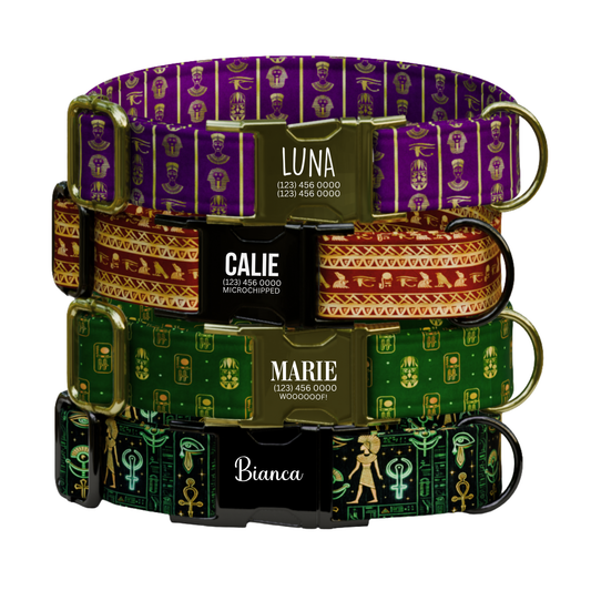 Ancient Egypt-Inspired Personalized Dog Collar & Leash Set