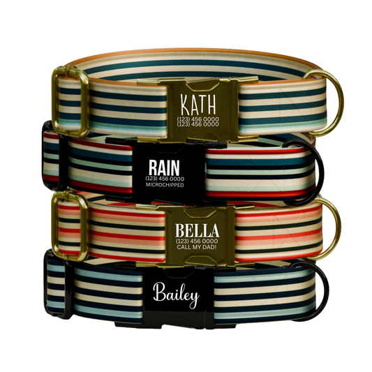 Personalized Retro Stripe Personalized Dog Collar & Leash Set