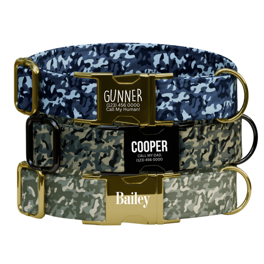 Personalized Camouflage Personalized Dog Collar & Leash Set (OG-63)