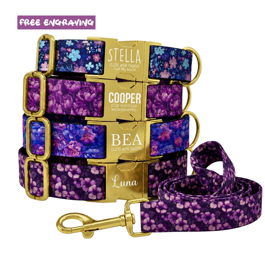Purple Floral Personalized Dog Collar & Leash Set