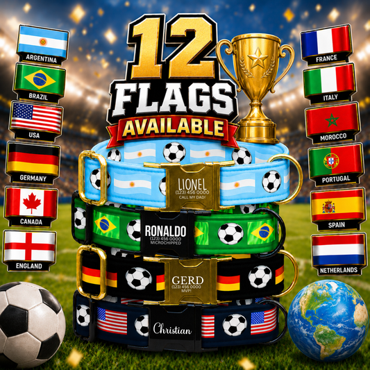 Custom Soccer Dog Collar,Soccer Championship Inspired Pet Collar, Personalized Engraved Name 12 Country Flags Pet Collar Gift Pet Owner (OG-647)
