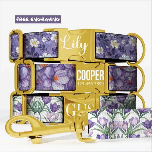 Purple Wildflower Personalized Dog Collar and Leash Handmade Lavender Pet Collar Custom Dog Accessories Small Medium Large Dogs
