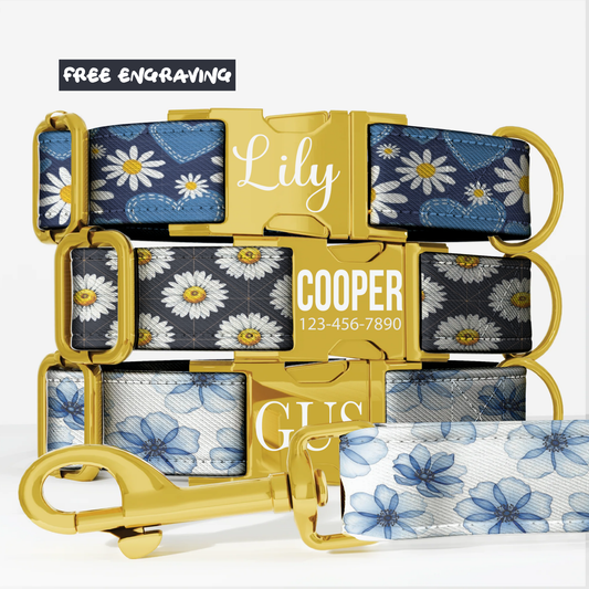 Daisy Dreams Personalized Dog Collar & Leash Set Custom Blue Floral Puppy Collar