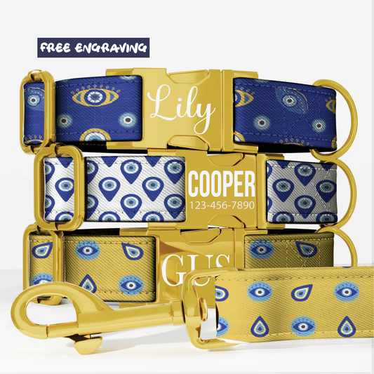 Evil Eye Personalized Dog Collar & Leash Set