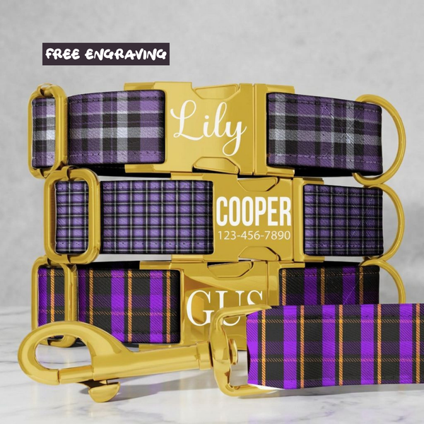 Purple Plaid Gingham Personalized Dog Collar & Leash