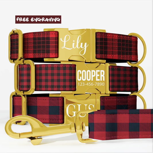 Red Plaid Personalized Dog Collar & Leash Set
