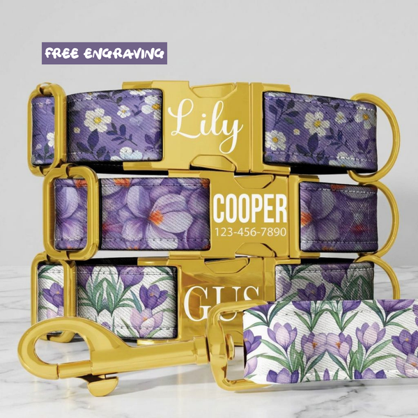 Purple Wildflower Personalized Dog Collar and Leash Handmade Lavender Pet Collar Custom Dog Accessories Small Medium Large Dogs