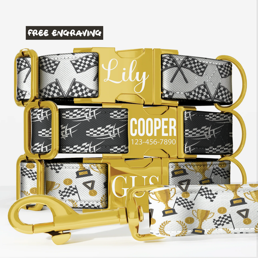 The Polished Dog Speedway Series - Checkered Flag & Trophy Edition Custom Racing Dog Collar