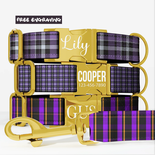 Purple Plaid Gingham Personalized Dog Collar & Leash