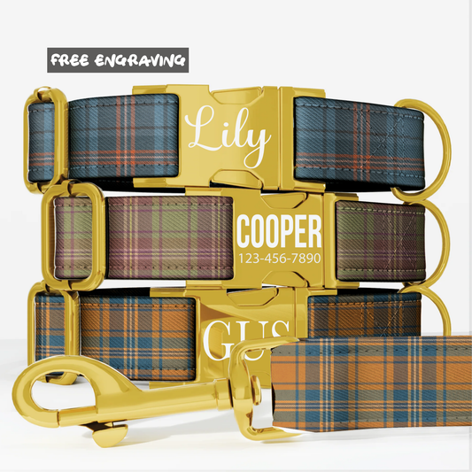 Retro Plaid Personalized Dog Collar & Leash Set