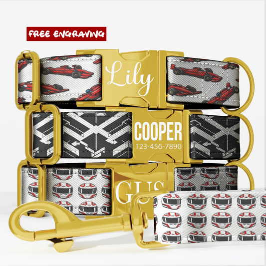 Race Car Formula Style Personalized Dog Collar & Leash Set