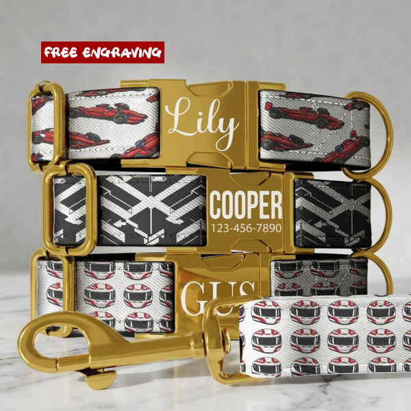 Race Car Formula Style Personalized Dog Collar & Leash Set