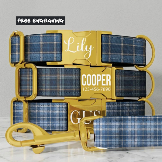Blue Plaid Personalized Dog Collar & Leash Set
