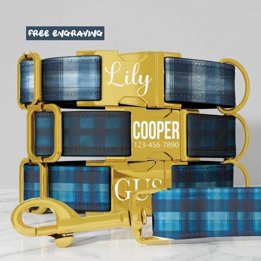 Blue Tartan Plaid Personalized Dog Collar & Leash Set