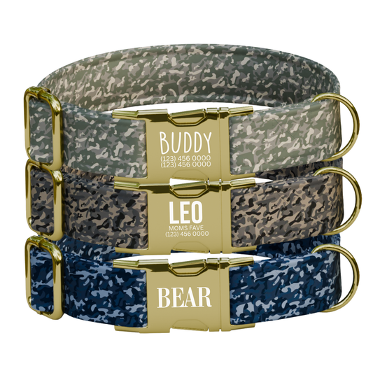 Mlitary Style Personalized Camouflage Dog Collar & Leash Set (OG-51)