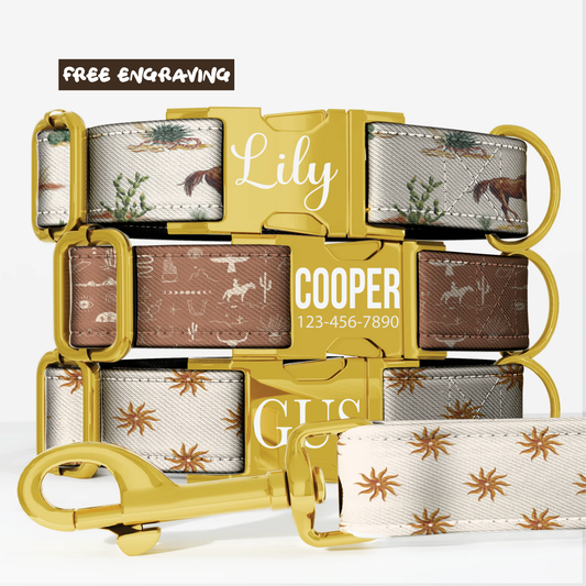 Western Cowboy Custom  Personalized Dog Collar & Matching Leash Set