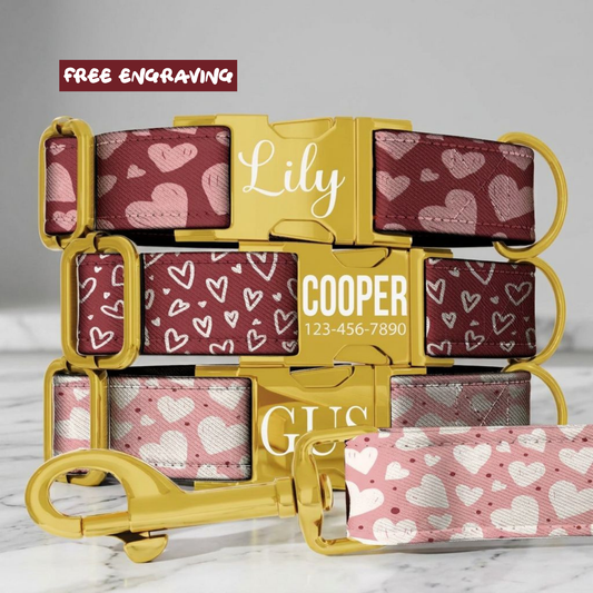 Sweetheart Personalized Dog Collar & Leash