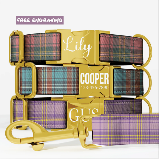 Vintage Gingham Plaid Personalized Dog Collar & Leash Set