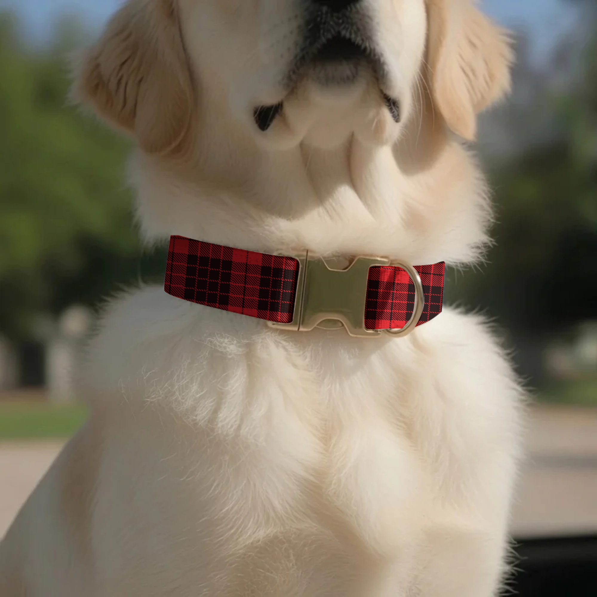 Red Plaid Personalized Dog Collar & Leash Set