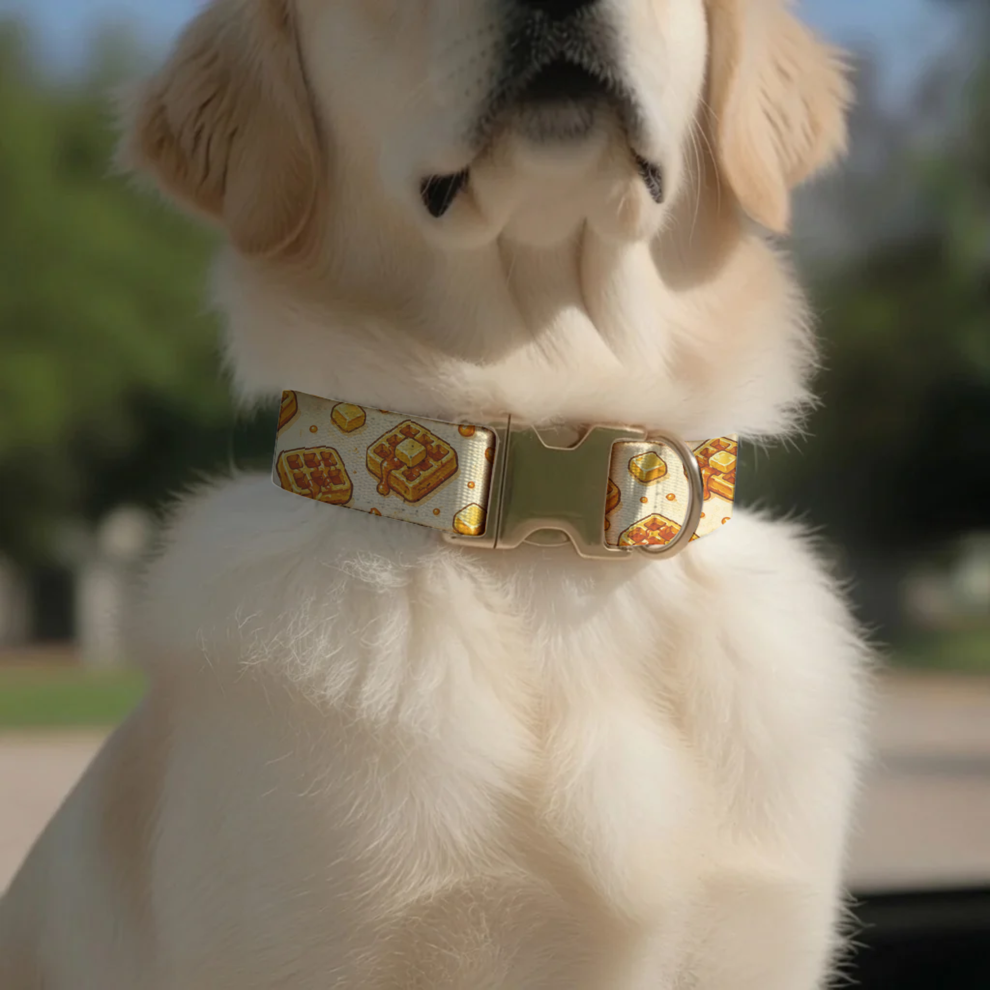 Waffle & Maple Pattern Personalized Dog Collar & Leash Set