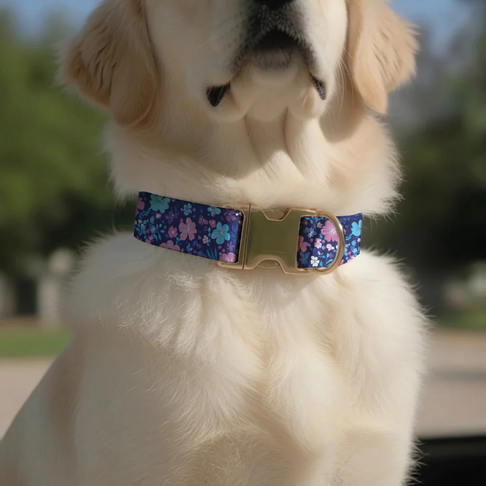 Purple Floral Personalized Dog Collar & Leash Set