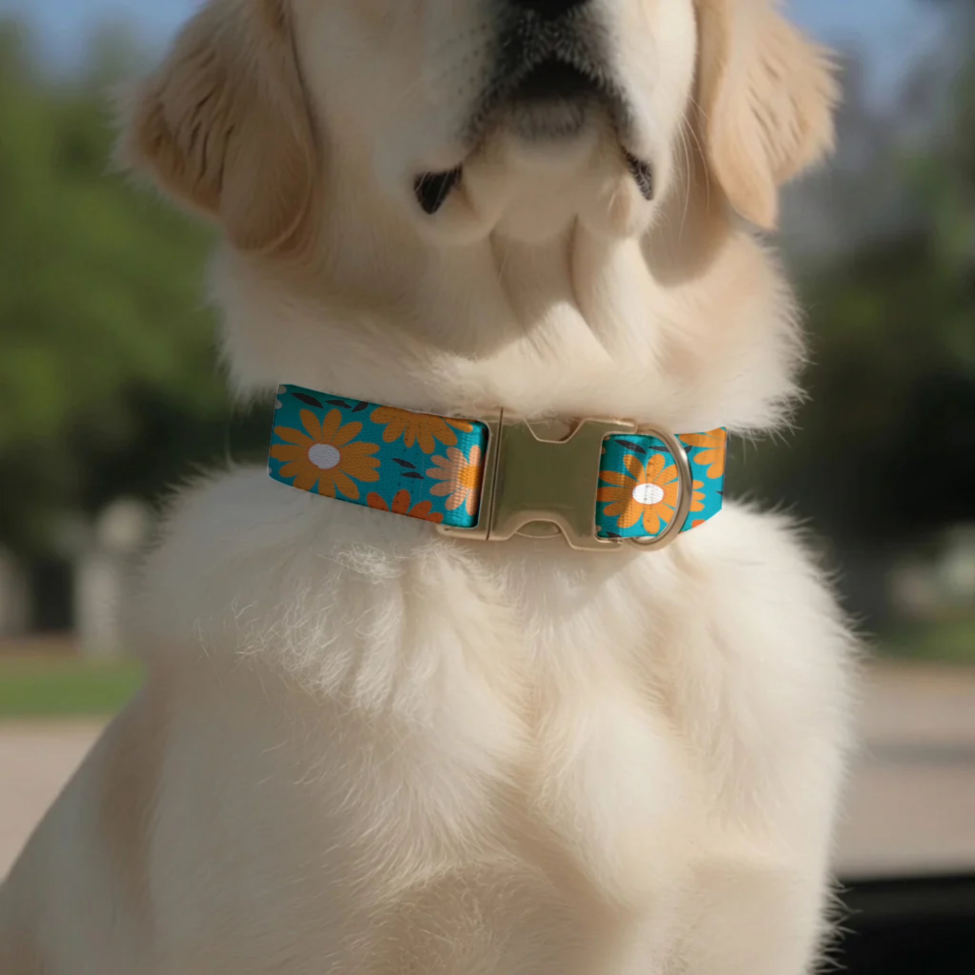 Custom Daisy Dog Collar Personalized Bright Floral Summer Puppy Collar Leash Set