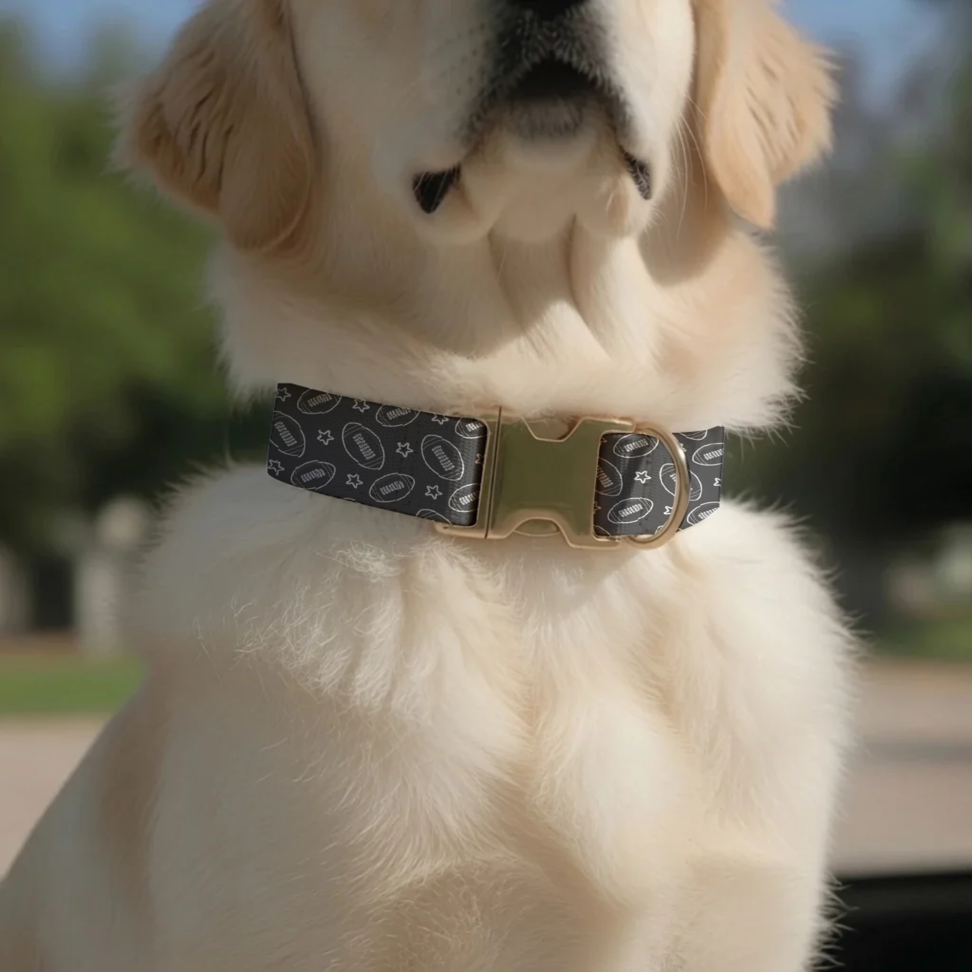 Game Day MVP Personalized Dog Collar – Touchdown-Ready All-Star Pup! Football Dog Tag