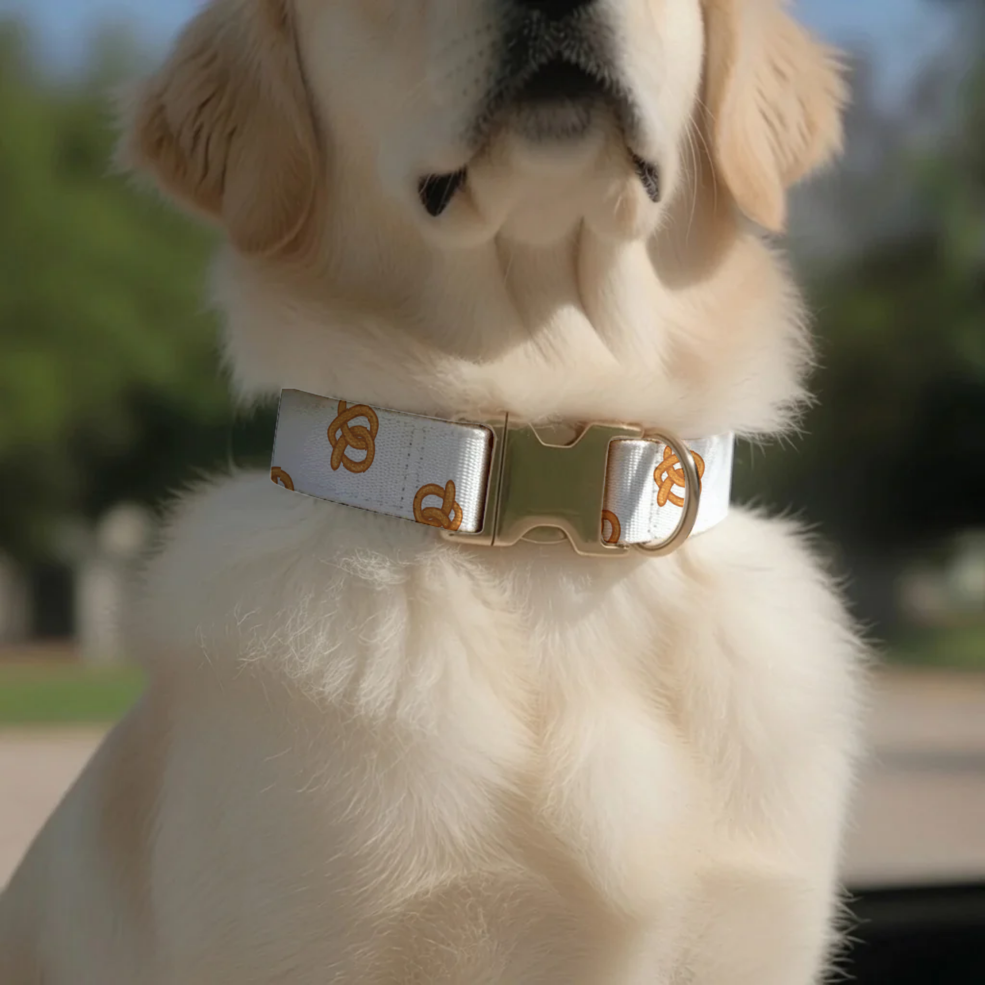 Bread & Pastry Pattern Custom Dog Collar & Leash Set Adjustable