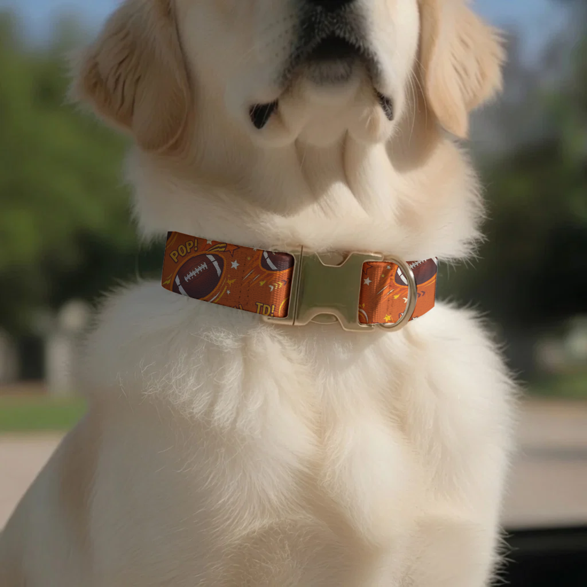 Football Custom Dog Collar Fabric Pet Accessory Personalized Sports Puppy Neckwear American Football GameDay Gift Handmade Dog Gear