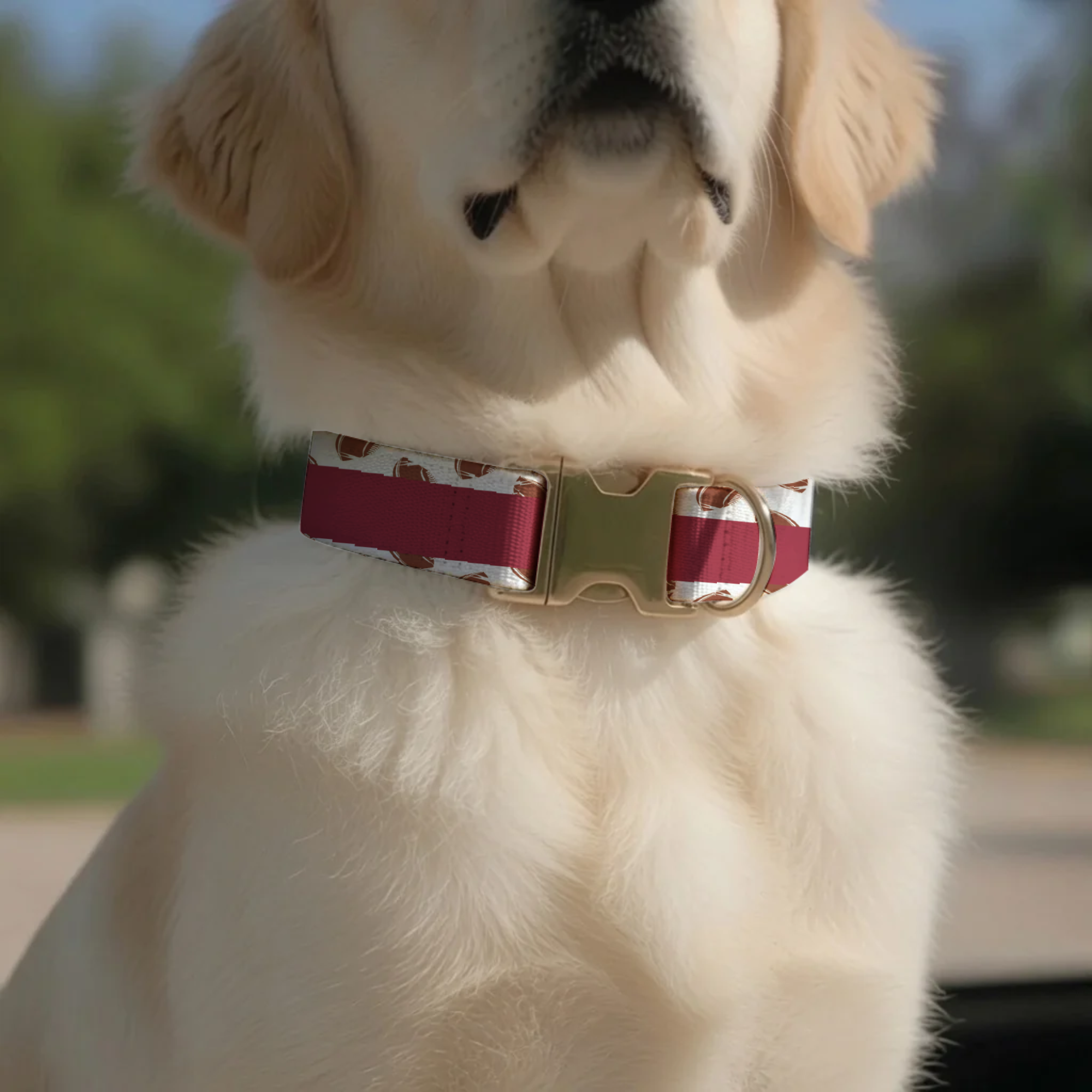 Crimson Red & White Personalized Football Game Day Collar Custom Engraved Name Saturday Series