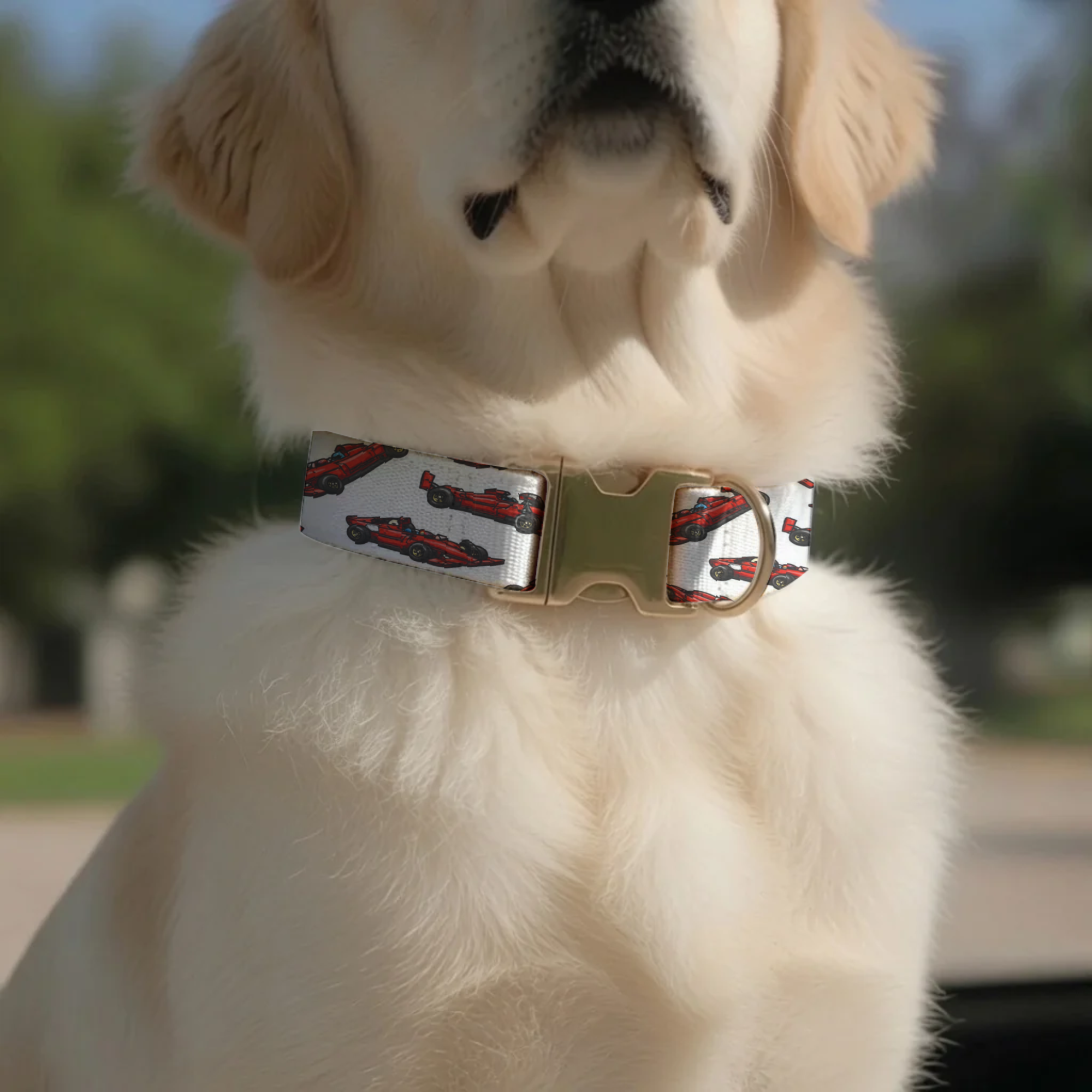 Race Car Formula Style Personalized Dog Collar & Leash Set