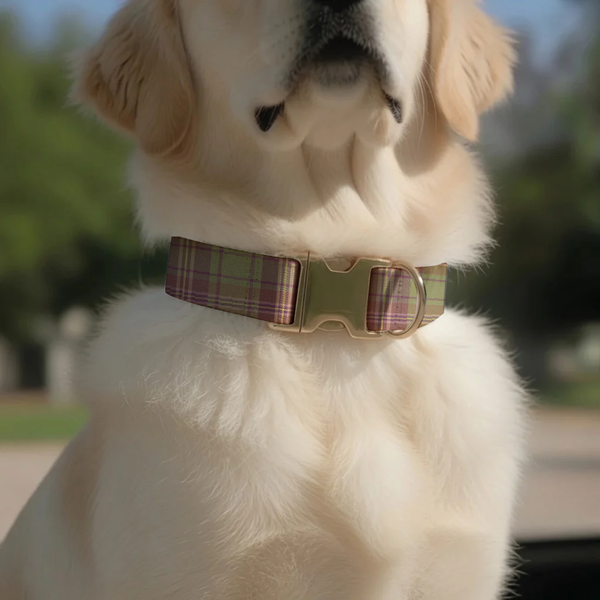 Retro Plaid Personalized Dog Collar & Leash Set